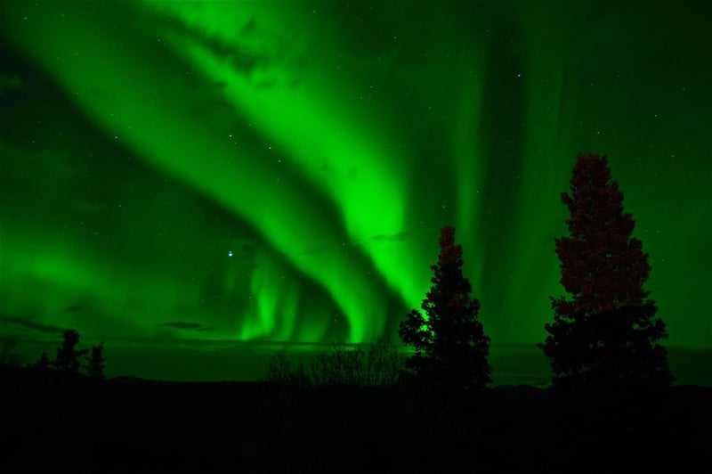 Northern Lights Wedding
