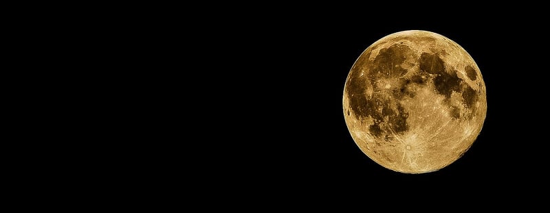Moonlit Wedding